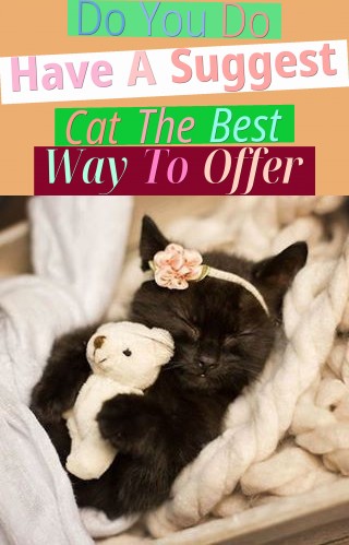 Do You Do Have A Suggest Cat? The Best Way To Offer